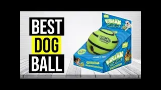 BEST DOG BALL AMAZON REVIEW