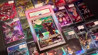 One Piece и Dragon Ball Z правят бал на местной конвенции покемонов | Выставка коллекционирования...