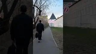 Плюс вайб моей музыки ТГК: Бумажные цветы