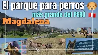 El parque para perros 🐶 MÁS grande del Perú 🇵🇪