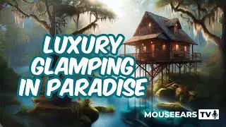Forget Roughing It! These Florida Springs LUXURY Cabins Are AMAZING!