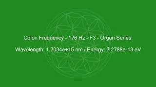 Цревна резонанца   176 Hz   Colon Frequency   176 Hz   Organ Series   Pure