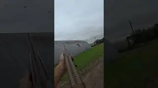Wild Bird Hunting Adventure | Precision in Action