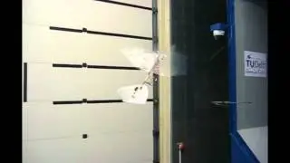 Delfly Freeflight
