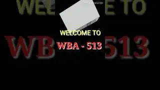 WBA 513 fully Solved