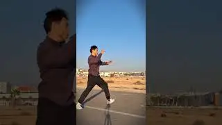 Tony Jaa High Knee Kick