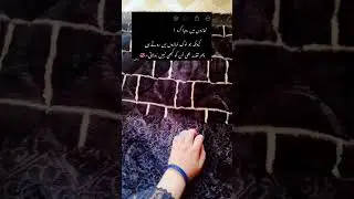 Find Allah #shorts #shortvideos #islam #islamicstatus #findAllah