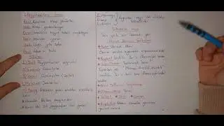 KELAM/ İMAN ESASLARI (DHBT/MBSTS/IHL/ÖABT)