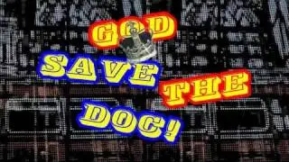 DOCSHOW - (SPOT) 