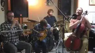 Mountain Shark- 