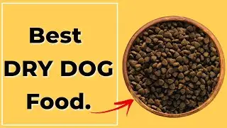 ✅ 5 Best Dry Dog Food | Popular Dry Dog Food Brand Right NOW.