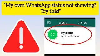 &ldquo;My Own WhatsApp Status Not Showing | 100% Working Solution&rdquo;