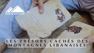 Les trésors cachés des montagnes libanaises
