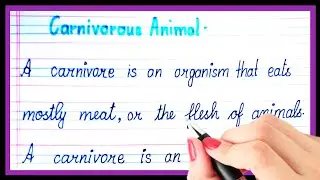 What are carnivorous animals | Definition of carnivorous animal | types of carnivores animals