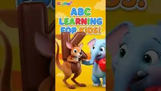 ABC Learning for Kids! 🦘 | Letter K | KidyPopTV
