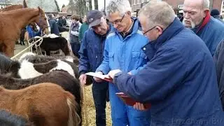 Paardenmarkt Lottum