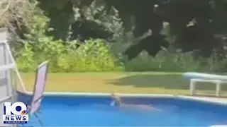Deer crashes through house, jumps in pool