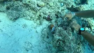 fun diving