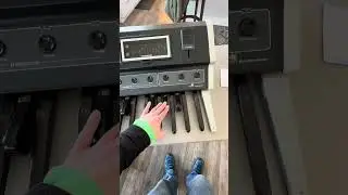 Moog Taurus 1 - sound check