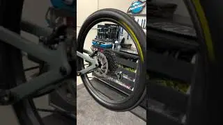 Black Tires vs. Tan Wall Tires