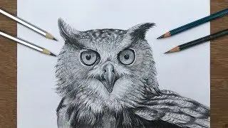 How to draw an owl | pencil shading of an owl | realistic owl drawing in step by step