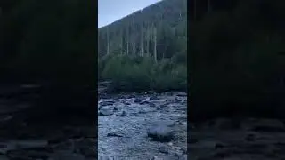 Video of Ohanapecosh Campground &mdash; Mount Rainier National Park, WA from Bree G.