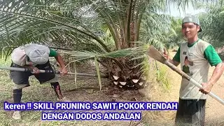 Pruning sawit pokok rendah
