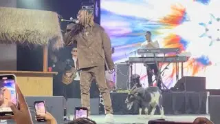 ASAKE BRINGS A GOAT ON STAGE IN ATLANTA | ASAKE PERFORMS IN ATL FOR THE FIRST TIME | Createen Media