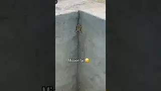 जब मेरी लिखन बैठा तू क़िस्मत बाबा#ytshort