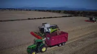 Harvest at Marsh Farm 2021