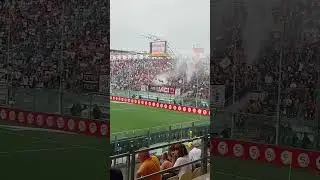 Modena - Bari #settoreospiti #ultras #Bari #ModenaBari (13.09.25)