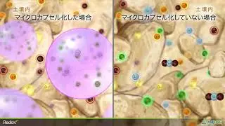 Redox Technology - Chelation, Complexing and Microencapsulation - Japanese