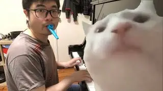 Cat Vibing to Ievan Polkka (Kazoo and Piano Version)