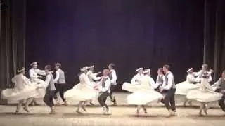 TDK ''Pīlādzītis'' 10.-11.kl. - Cūkas driķos