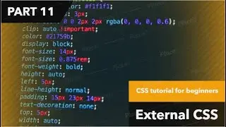 CSS tutorial for beginners|tutorial #11|External CSS