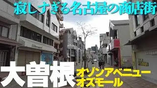 失敗した再開発【名古屋・大曽根】オゾンアベニューとオズモールを歩く