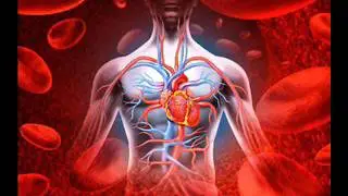 4 Hours Healing Frequency for Lowering High Blood Pressure | Binaural Beats Blood Pressure Healing