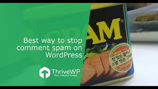 Stop Comment Spam on WordPress [Easy Fix!] Spam comments stop here! No more spam on WordPress