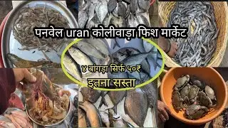 Mumbai Panvel Fish Market | Panvel Uran Naka Fish Market | Wholesale Fish Market |