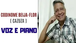 Codinome Beija-Flor - Cazuza | voz e piano