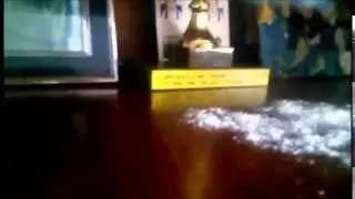 Cum se apira faina de pe mobila cu Philips Performer Expert