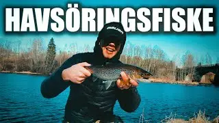 HAVSÖRINGSFISKE I LJUNGAN!