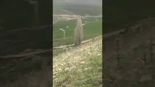 Erzurum İspir İncesu MH reis Mustafa Eroğlu