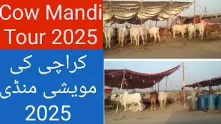 Northern by Pass Cow Mandi 2025 Tour