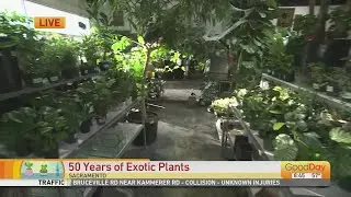 50 Years of Exotic Plants
