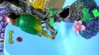 DSCN4994