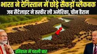 रेगिस्तान में छोड़े गए सैकड़ों भैंसे,10 साल बाद जो नज़ारा मिला उसने दुनिया को हिला दिया | Ankit..
