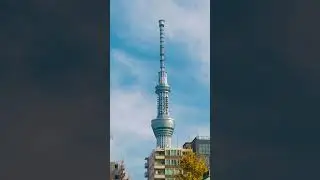 ⛩️ #sensojitemple #asakusa #浅草寺 #スカイツリー #東京 #japan #skytree #fyp #trending #temple