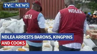 (VIDEO) NDLEA Arrests Barons, Kingpins And Cooks