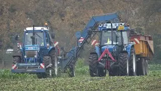 Een Ford 7710 Gen 1 Edenhall 223-bietenrooier, Ford 7840 SLE  Veenhuis voederbietenrooien